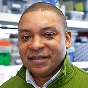 Franck Kalume Graduate Program In Neuroscience